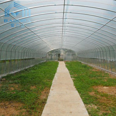 Заводы земледелия растя обрабатывающ землю тоннеля пяди фильма полиэтилена парник одиночного пластиковый