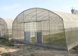 Парник фильма полиэтилена парников тоннеля одиночной пяди пластиковый для обрабатывать землю овощей