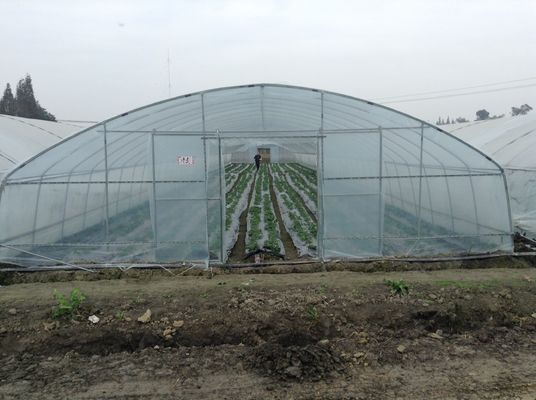 Парник фильма полиэтилена парников тоннеля одиночной пяди пластиковый для обрабатывать землю овощей