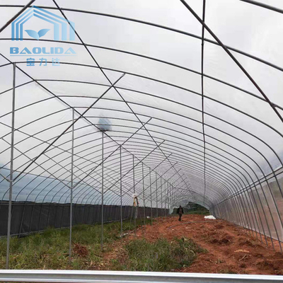 гальванизированный парник коммерчески тоннеля фильма Одно-пяди стальной трубы пластиковый для расти заводов земледелия