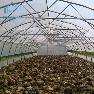 Аграрный пластиковый парник обруча парника тоннеля для растя овоща