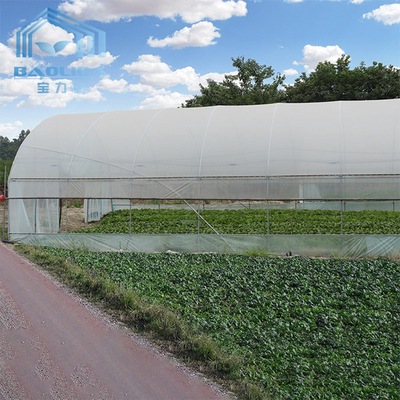 Тоннеля парника томата парник поли аграрного пластиковый для оборудования капельного орошения