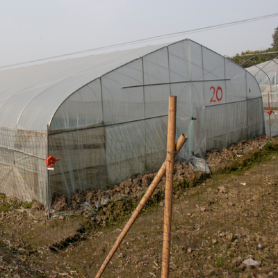 Тоннель земледелия парника тропической одиночной пяди пластиковый полинянный прозрачный