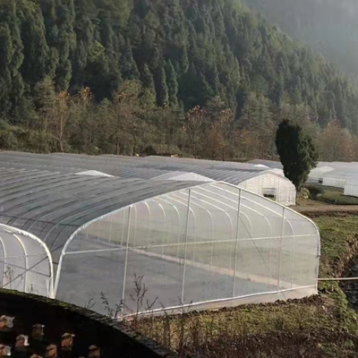 Парник пяди микро- тоннеля фильма PE 200 пластиковый одиночный для расти заводов земледелия