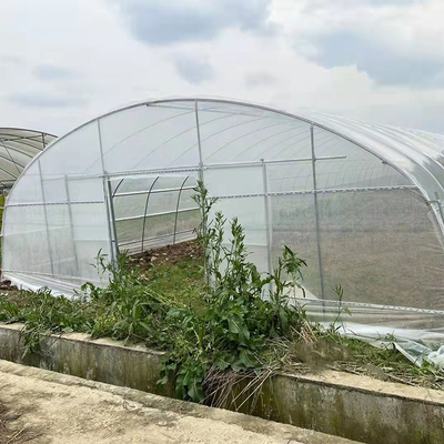 Клубника растя парник пяди бортовой вентиляции одиночный для земледелия