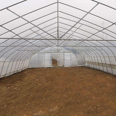 Парник тоннеля фильма дома обруча расти овоща земледелия