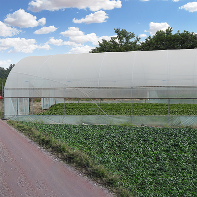 Парник пяди земледелия пластиковый одиночный с поли фильмом железного каркаса тоннеля двойным