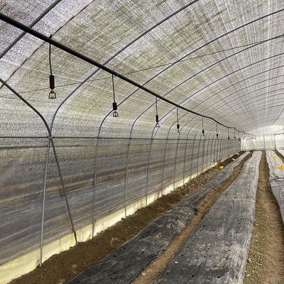 Пядь бортового парника тоннеля полиэтиленовой пленки вентиляции низкого одиночная для расти гриба