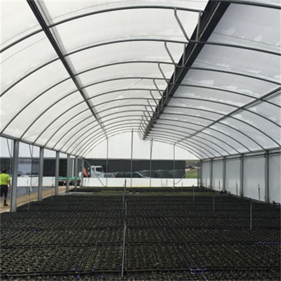 Парник пяди тропического Sawtooth системы вентиляции одиночный для расти овощей