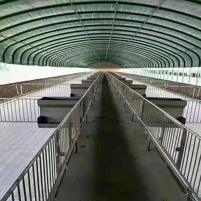 Парник тоннеля цыпленка поли для размножения поголовья и птицы птицефермы