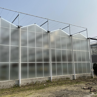 Multi поликарбонат парника листа ПК пяди покрывая наличие выращивания растения