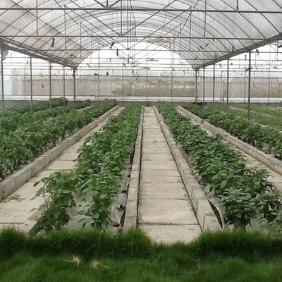 Обмотайте устойчивые заводы земледелия растя парник пяди Hydroponic фильма системы поли Multi